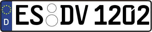 ES-DV1202