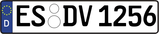 ES-DV1256