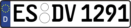 ES-DV1291