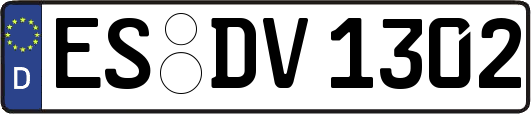 ES-DV1302