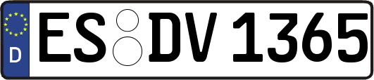 ES-DV1365