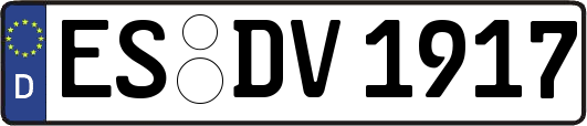 ES-DV1917
