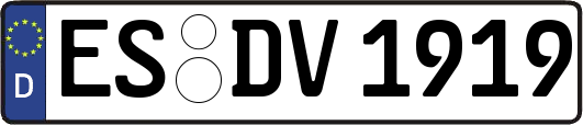 ES-DV1919