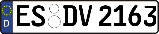 ES-DV2163