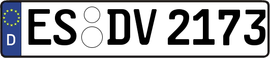 ES-DV2173