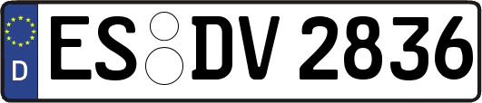 ES-DV2836