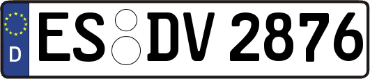 ES-DV2876