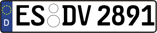 ES-DV2891