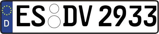 ES-DV2933