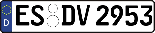 ES-DV2953