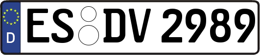 ES-DV2989