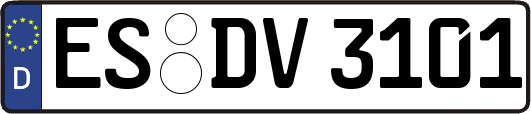 ES-DV3101