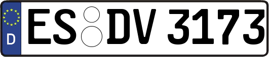 ES-DV3173