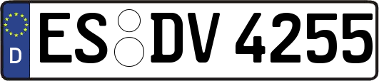 ES-DV4255