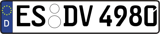 ES-DV4980