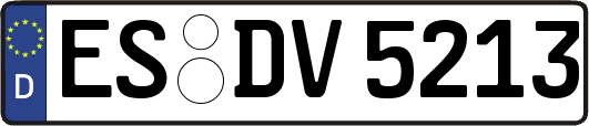 ES-DV5213