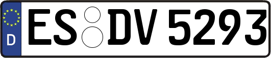 ES-DV5293