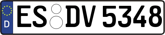 ES-DV5348