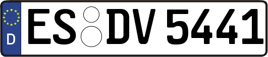 ES-DV5441