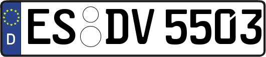 ES-DV5503