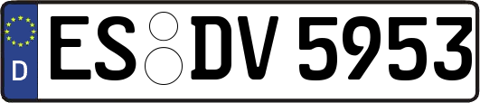ES-DV5953