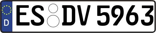 ES-DV5963