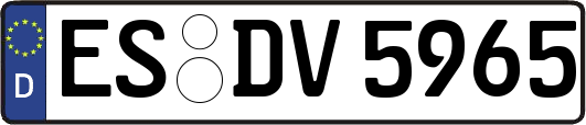 ES-DV5965