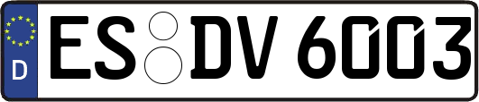 ES-DV6003