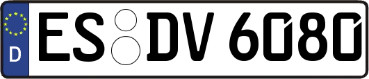 ES-DV6080
