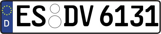 ES-DV6131