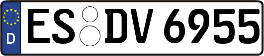 ES-DV6955