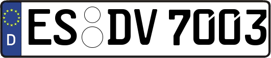 ES-DV7003