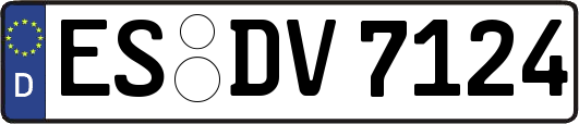 ES-DV7124