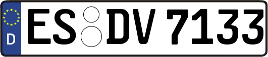 ES-DV7133