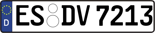 ES-DV7213