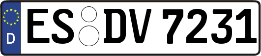 ES-DV7231