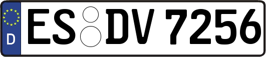 ES-DV7256