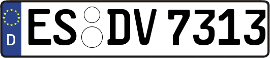 ES-DV7313