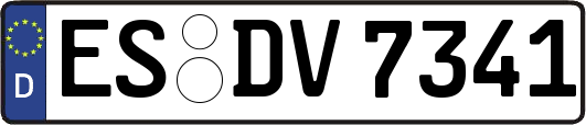 ES-DV7341