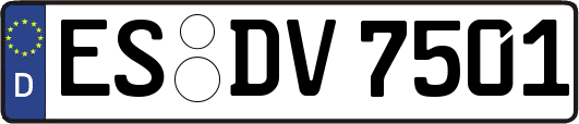 ES-DV7501