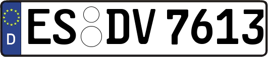 ES-DV7613