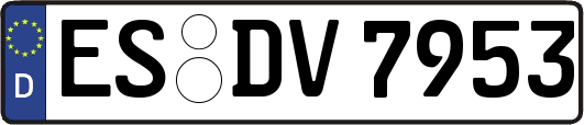 ES-DV7953