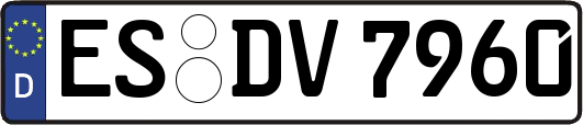 ES-DV7960