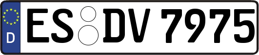 ES-DV7975