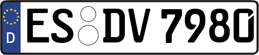 ES-DV7980
