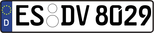 ES-DV8029