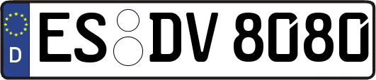 ES-DV8080