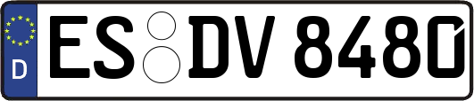 ES-DV8480
