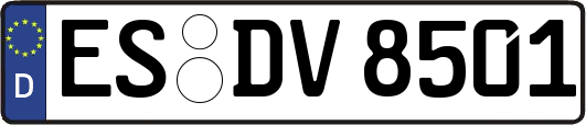 ES-DV8501