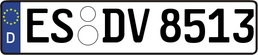 ES-DV8513
